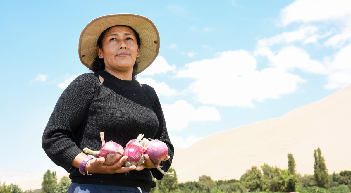 Agro Quellaveco Entregar Creditos A Agricultores De Moquegua