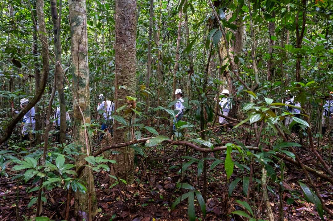 Visita a proyecto de conservación forestal promueve la sostenibilidad