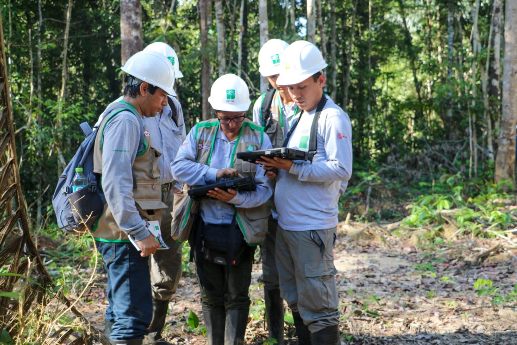 Expertos intercambiarán experiencias sobre plantaciones