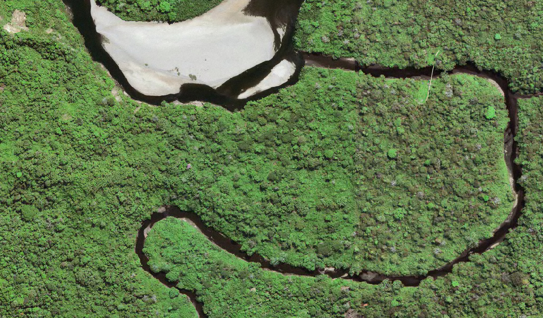 Ducto Verde: conoce todos los detalles del programa que contribuye al medio ambiente