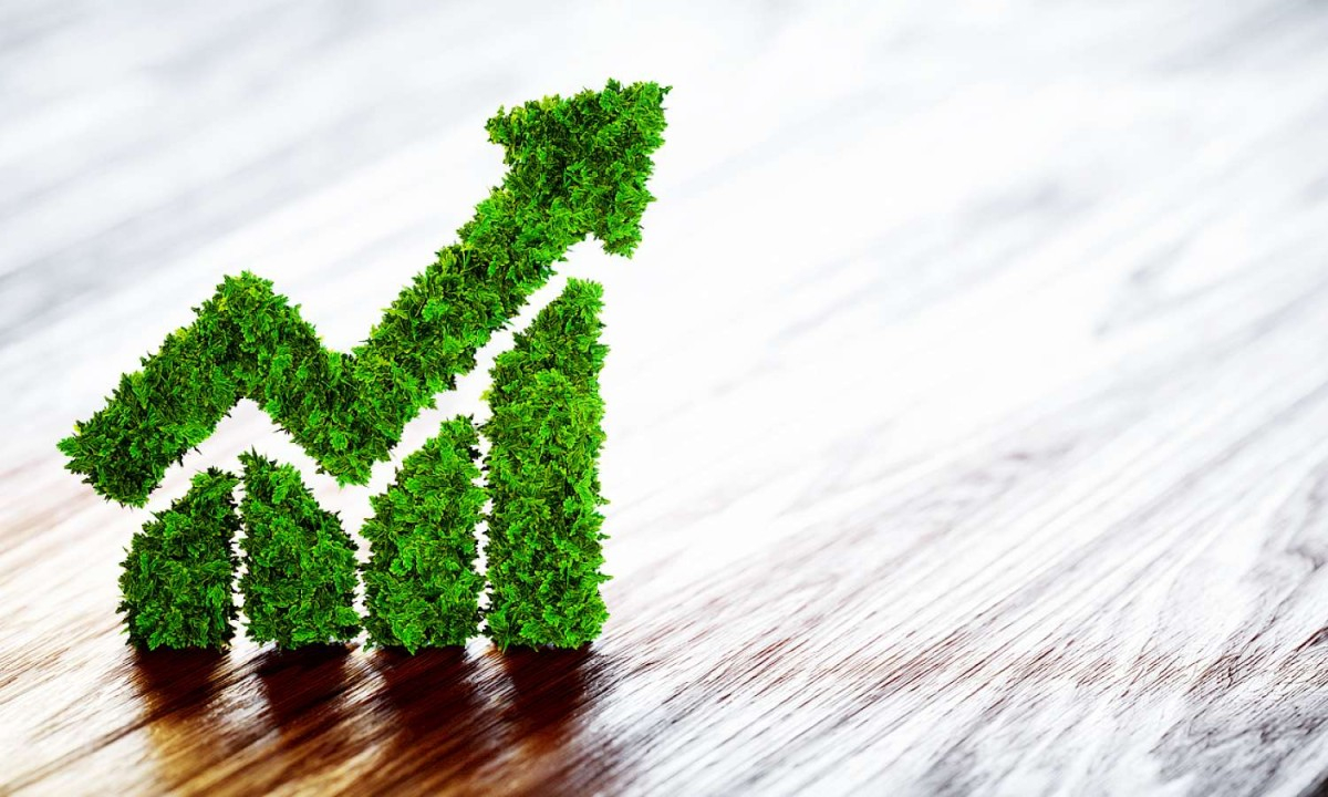 Cómo tener una empresa sostenible y productiva