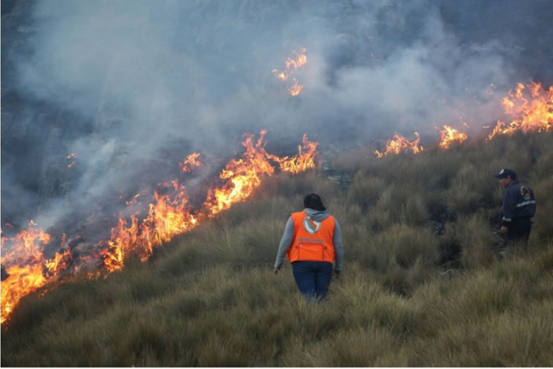 ¿Cuáles Son Las Causas Que Favorecen Los Incendios Forestales En El País?