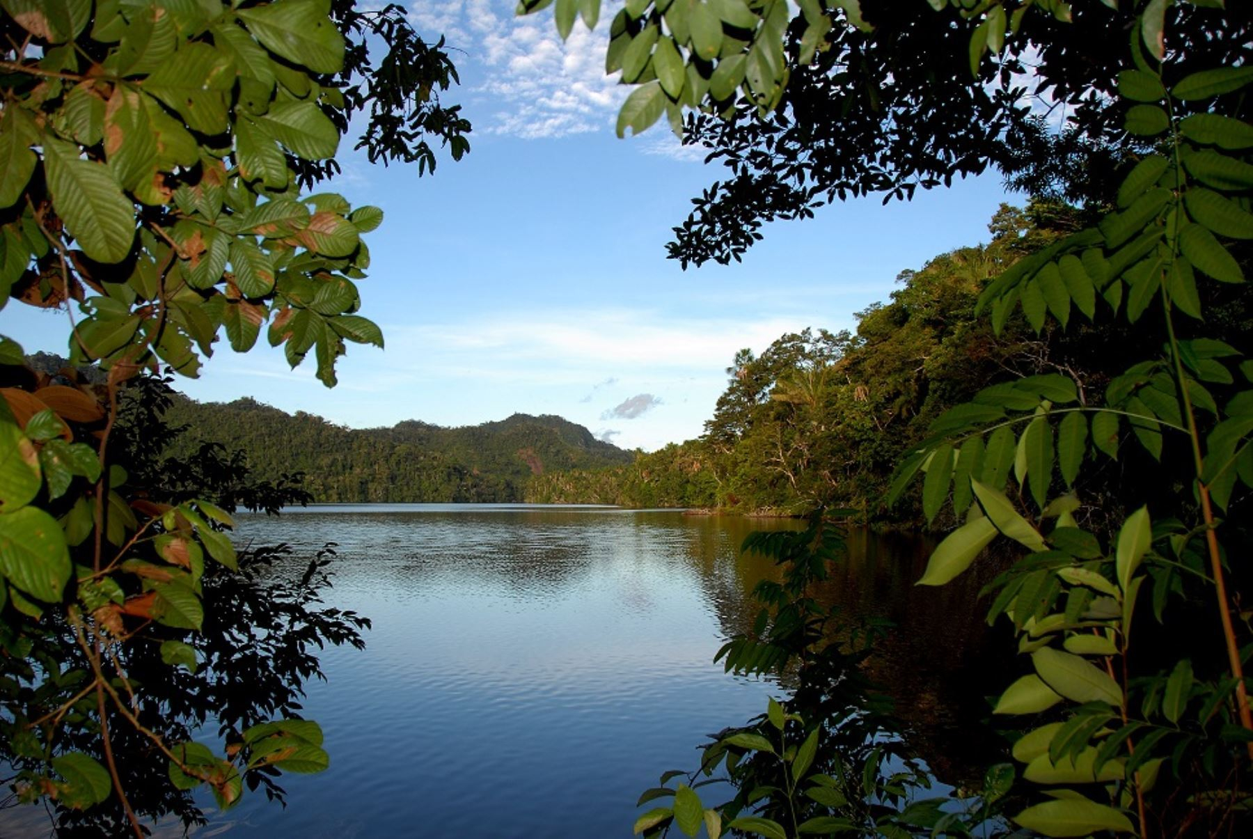 Invertirán $ 19.7 millones en la conservación de bosques tropicales