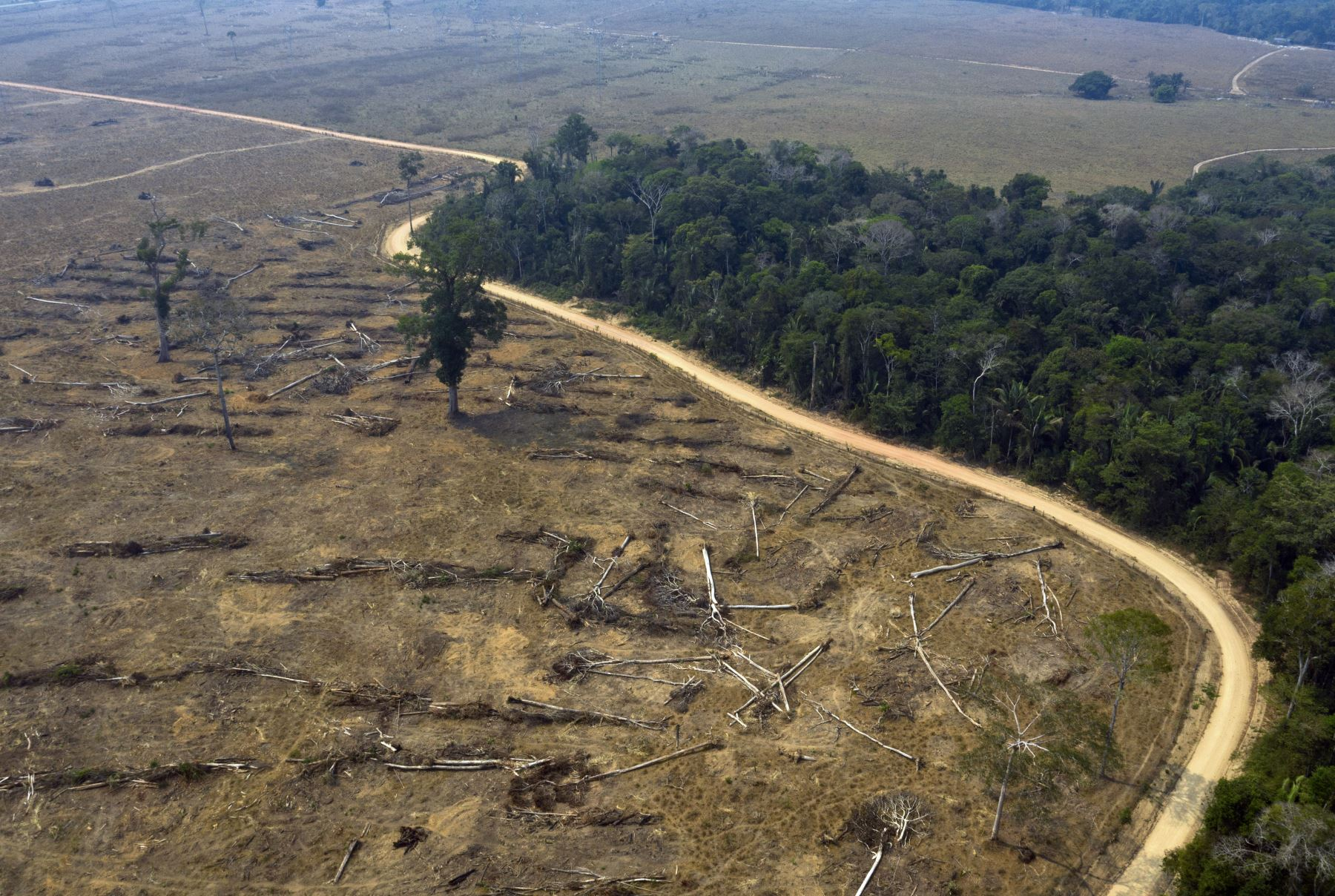 Nuestro país es el quinto más afectado por pérdida de bosques
