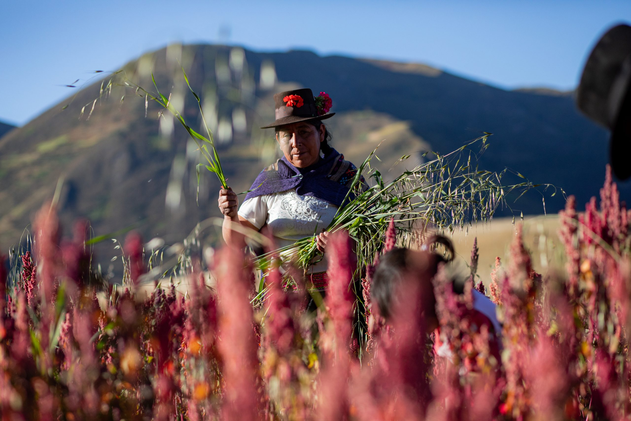 Destinan S/ 168 millones para garantizar agricultura sostenible