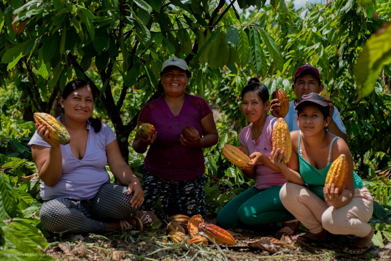 Programa Bosques implementa negocios ecoamigables en la selva