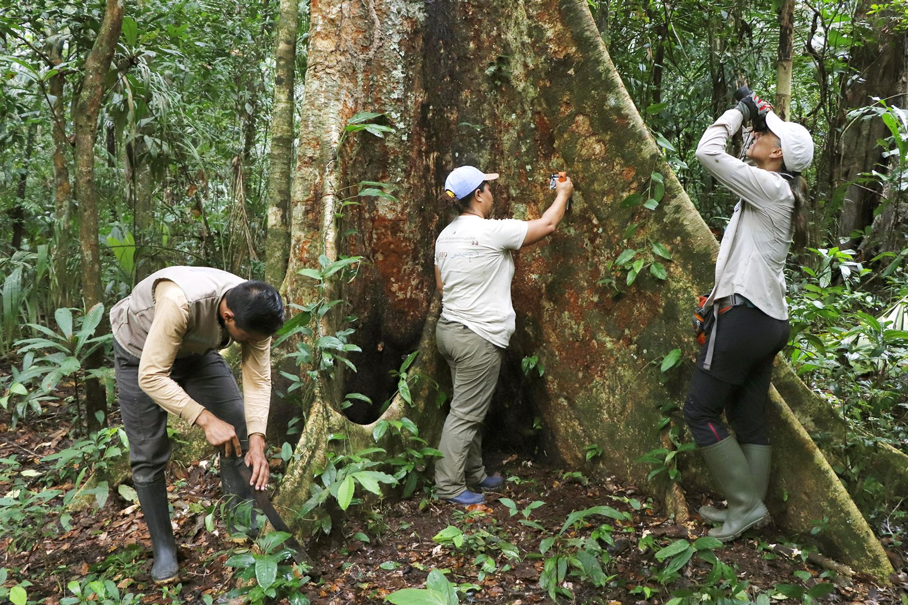 Conservación de recursos naturales movilizarán S/ 19 millones