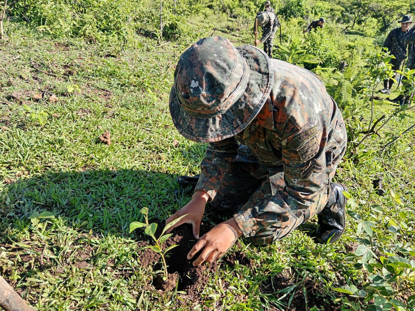 Marina de Guerra impulsa reforestación en la Amazonía