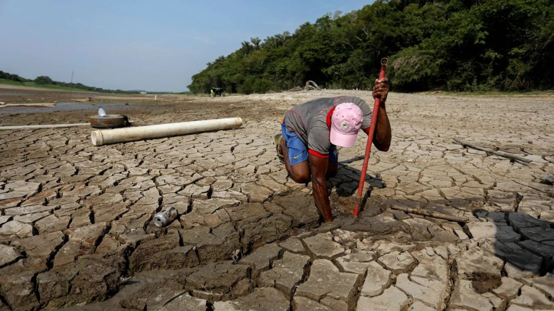 Cambio climático y pérdida de naturaleza son las principales amenazas del mundo