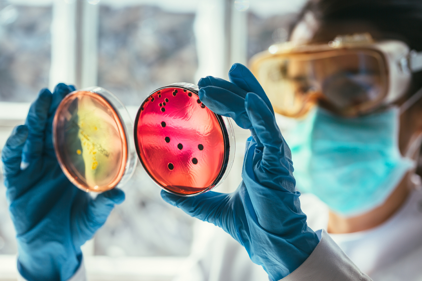 Cambio climático agravará problema de resistencia a los antimicrobianos
