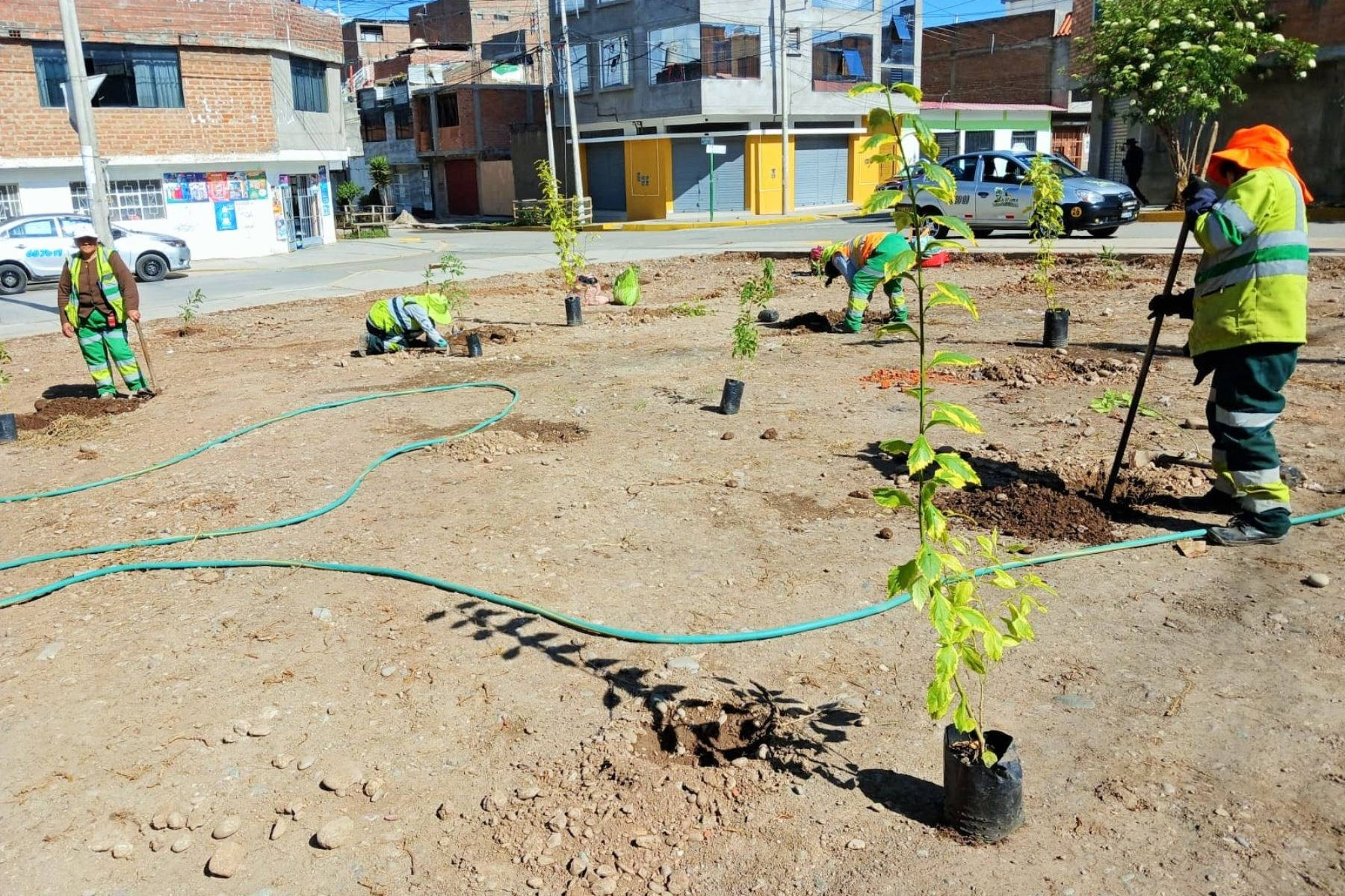 Botadero informal es transformado en área verde