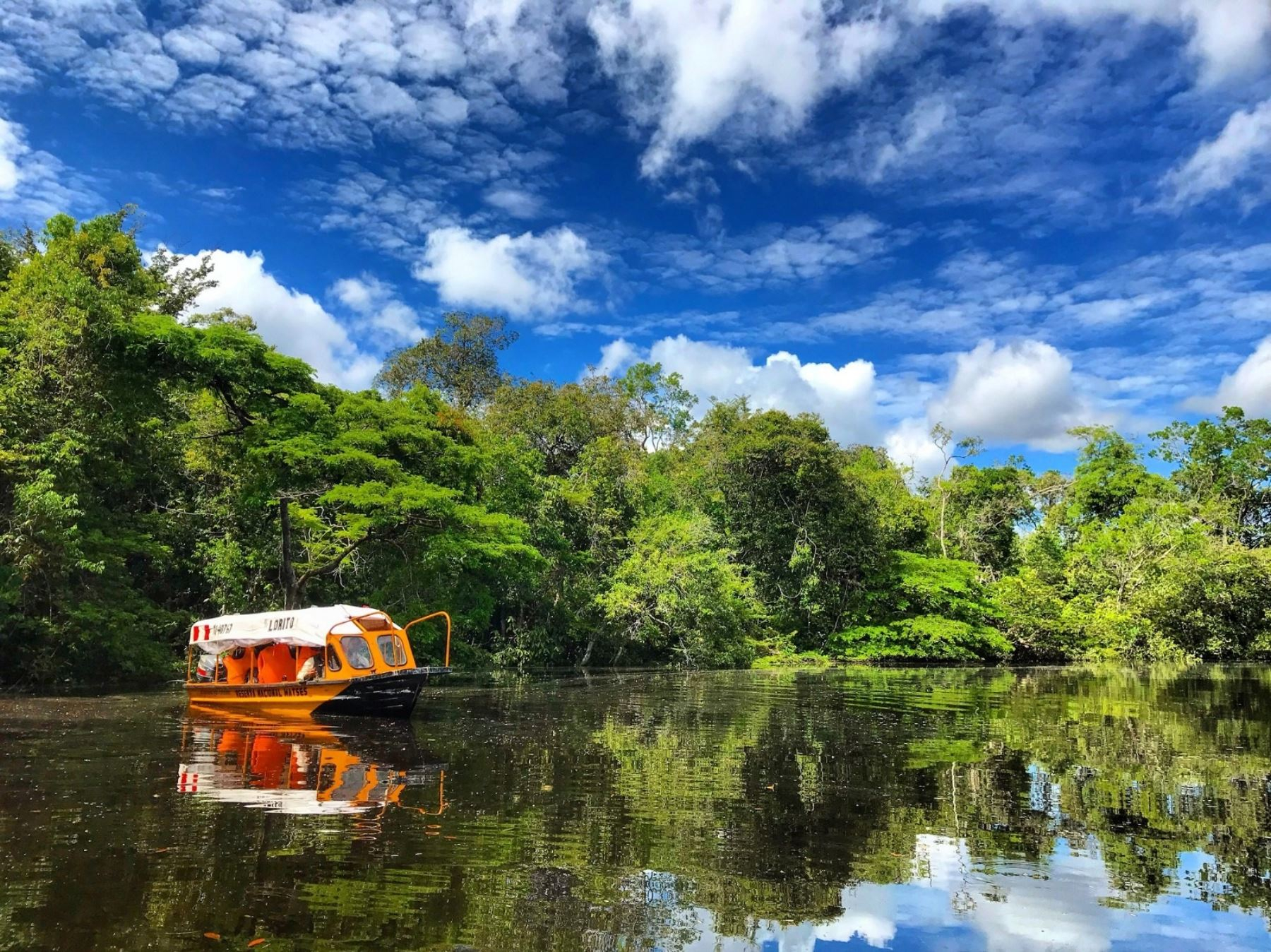 Alemania otorga millonaria partida para fortalecer áreas protegidas