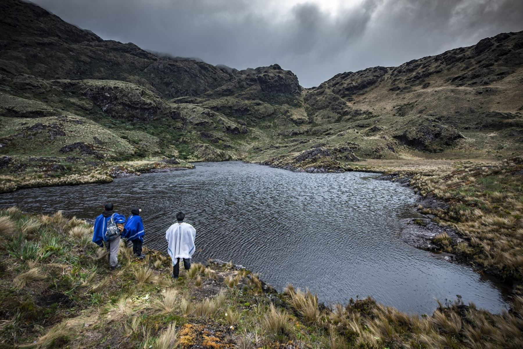 Áreas de Conservación regional necesitan S/27 millones para protección