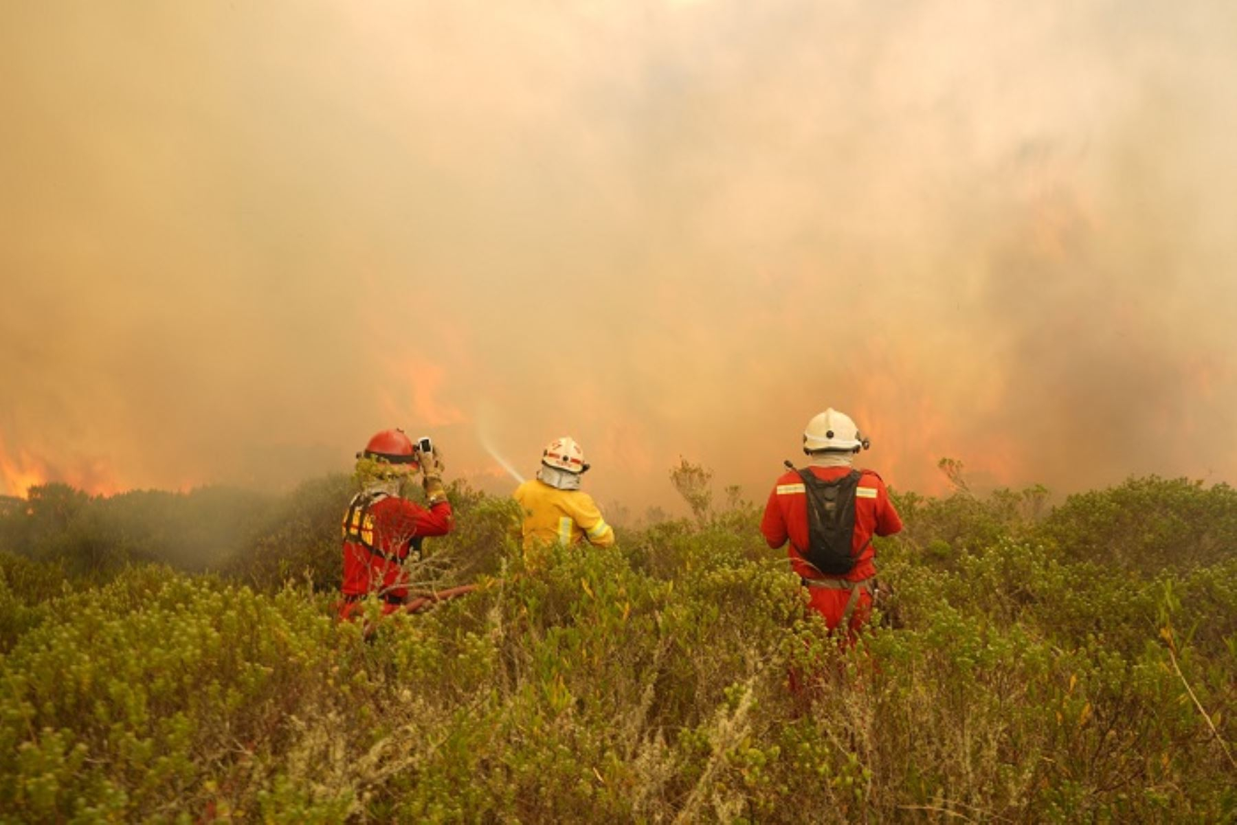Incendios forestales amenazan a más de un millón de personas