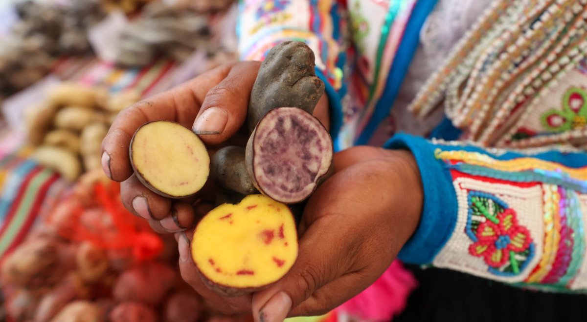 Perú avanza en materia de conservación de la biodiversidad