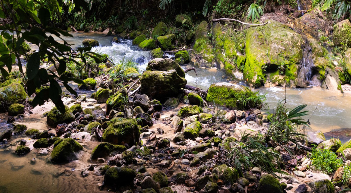 Luz verde para futura área de conservación Aguas Calientes Maquia en Loreto