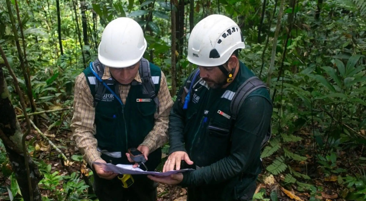 Perú participó en reunión mundial por los bosques y el clima