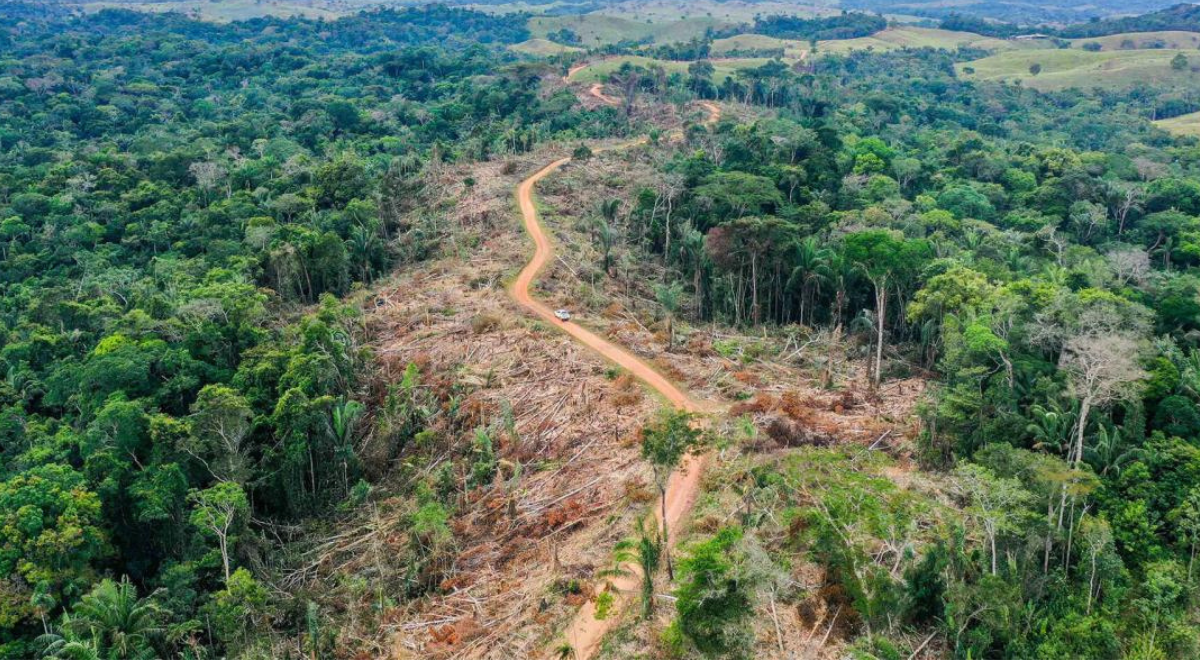 Brasil lanza programa para erradicar deforestación amazónica al 2030