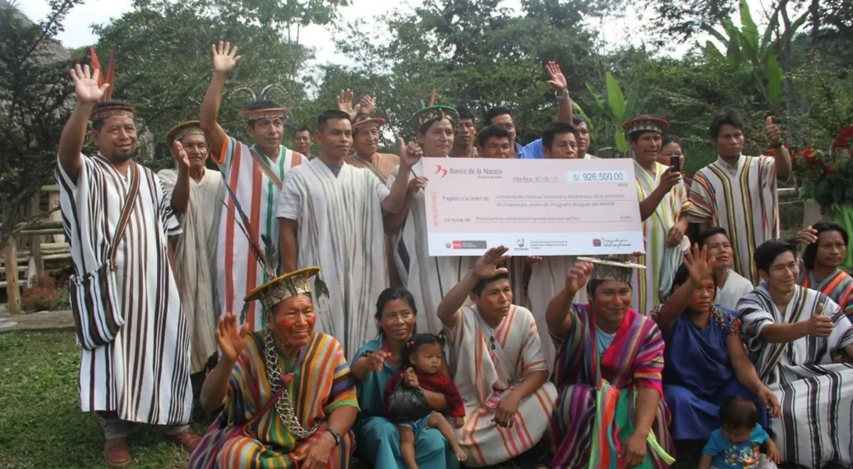 Comunidades nativas accederán a incentivos por conservación de bosques