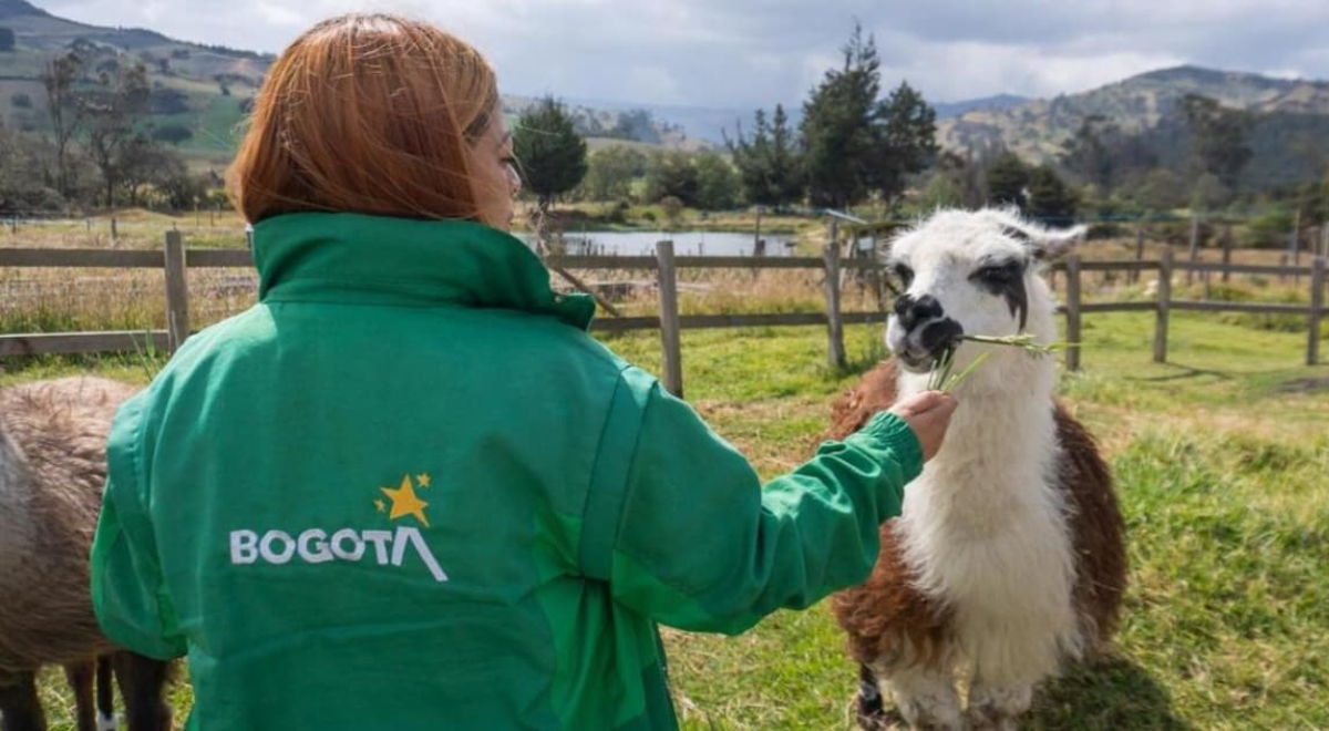 Colombia da enorme paso contra la explotación animal