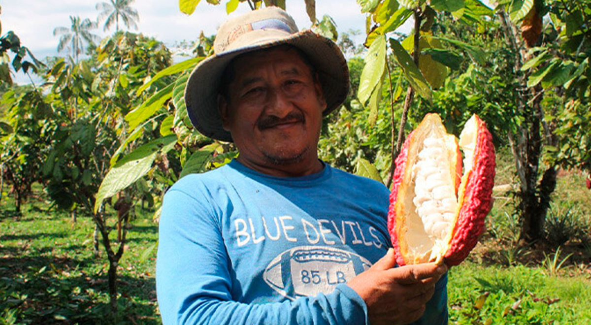 Productores de cacao se benefician con entrega de abono orgánico
