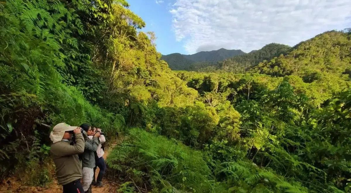 SERFOR deja sin protección la mayor parte del patrimonio natural del país bajo nueva propuesta técnica