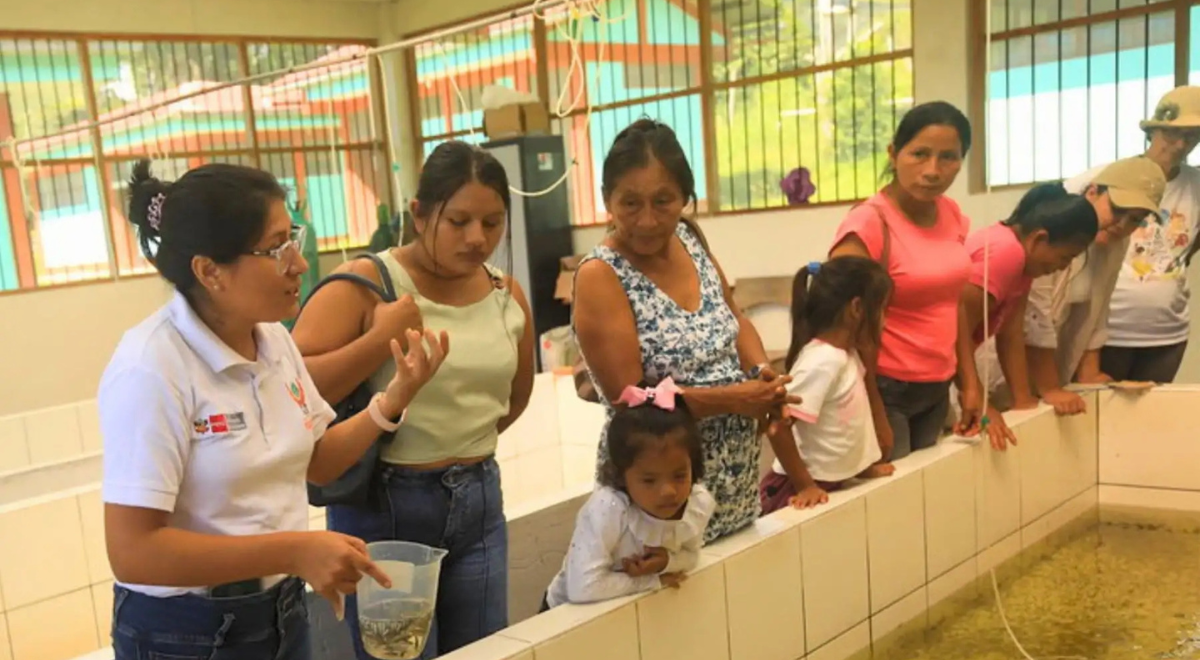 Mujeres awajún lideran proyecto de piscicultura sostenible